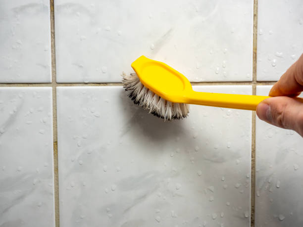 Best Mold Testing and Inspection Services in Westvale, NY